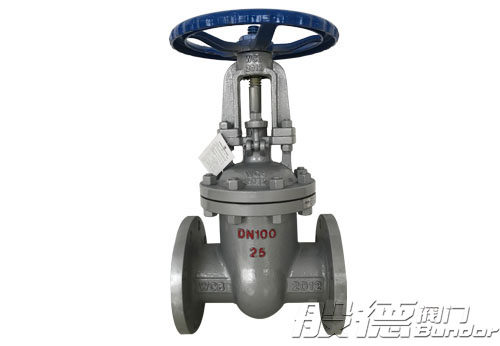 鑄鋼閘閥，般德